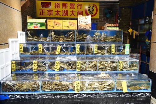 水產市場“慢搖”有方 魚美人打“上位”牌，珍寶水產如何做到物美價穩？\n踩著薩克斯的慵懶節奏，經營者有自己的經營慢哲學與數字監管快速響應器的平衡樂趣。這或許也正是這座城市獨一無二的‘慢火得臻味’